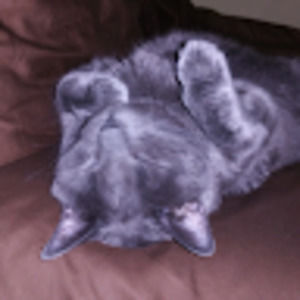 Meet your Posher, Jonathan